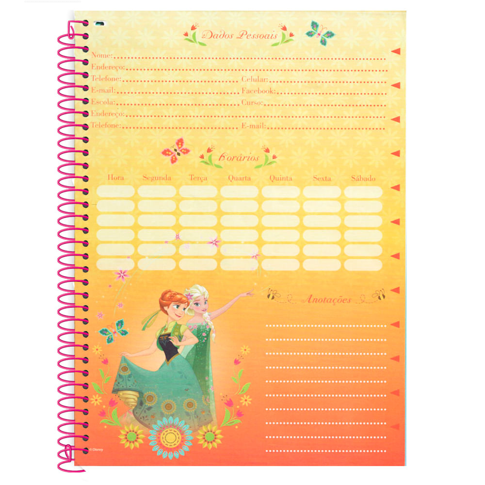 Caderno Universitário 10x1 200 Fls Cd Jandaia Frozen 8 Newscenter 7776