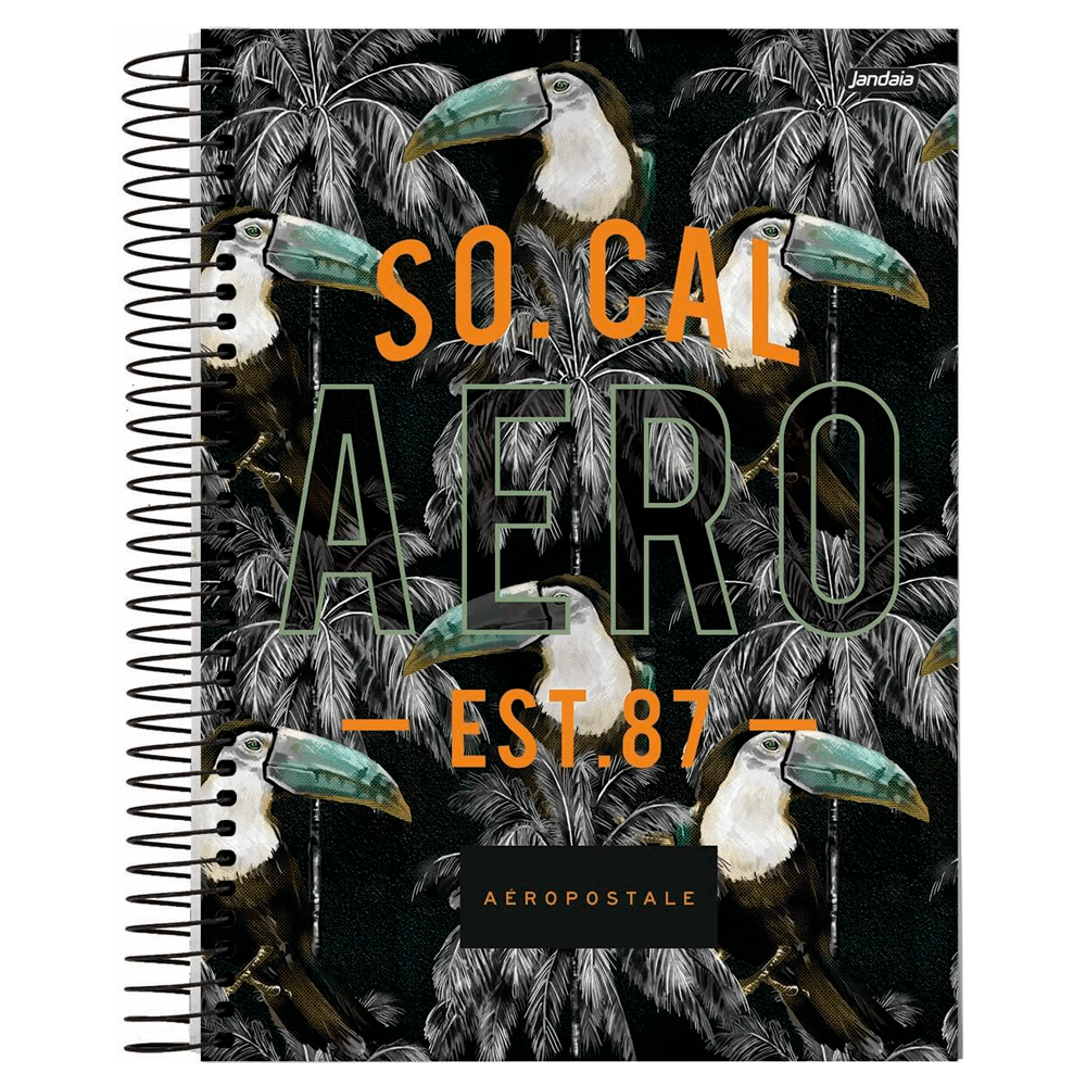 Caderno-Universitario-1x1-96-fls-C.D.-Jandaia---Aeropostale-Masculino-1