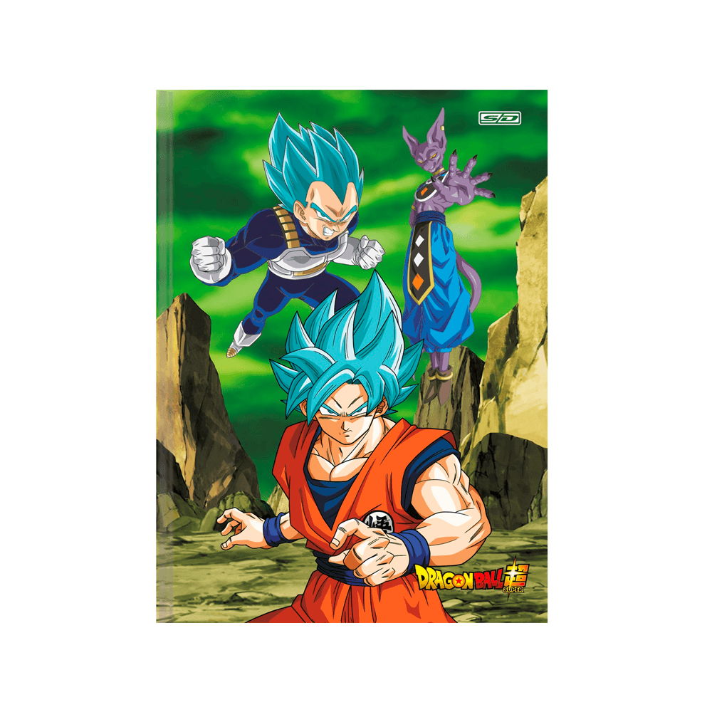 Brochura-14-C.D.-80-Fls-Sao-D.---Dragon-Ball-4