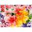 Quebra-Cabeca-1000-Pecas-Flowers-Detalhe01---Grow