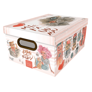 Caixa-Organizadora-Media-Gato-2214