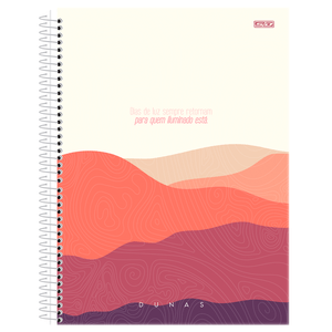 CADERNO UNIV. 1X1 C.D BORUTO 80FLS - SAO DOMINGOS