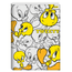 Brochurao-C.D.-80-Fls-Jandaia---Tweety-4
