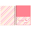 Caderno-Colegial-Foroni-Detalhe00---Marie-Teen