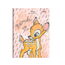 Brochura-14-C.D.-80-Fls-Foroni---Disney-Classics-3