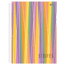 Caderno-Universitario-1x1-80-Fls-C.D.-Sao-D.---Stripes-4