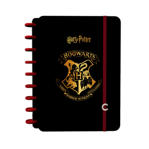Caderno-Inteligente-Colegial-1x1-80-Fls-Jandaia---Harry-Potter-1