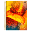 Caderno-Universitario-1x1-80-Fls-C.D.-Jandaia---Senhor-dos-Aneis-1