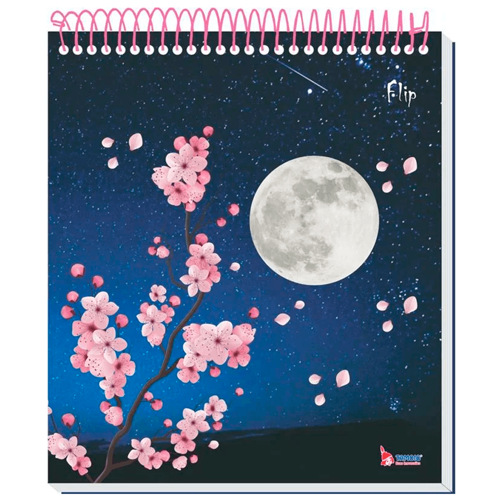 Caderno-Flip-Universitario-10x1-160-Fls-C.D.-Tamoio---Feminino-17 Caderno-Flip-Universitario-10x1-160-Fls-C.D.-Tamoio---Feminino-17