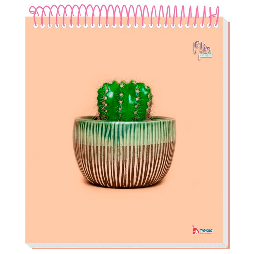 Caderno-Flip-Universitario-10x1-160-Fls-C.D.-Tamoio---Pastel-11 Caderno-Flip-Universitario-10x1-160-Fls-C.D.-Tamoio---Pastel-11