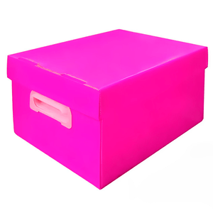 Caixa-Organizadora-The-Best-Box-Rosa-Grande---Polibras