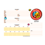 Cartografia-C.D.-80-Fls-Jandaia-Detalhe00---B-Duck