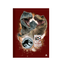 Brochura-14-C.D.-80-Fls-Animativa---Jurassic-Park-3