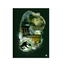 Brochura-14-C.D.-80-Fls-Animativa---Jurassic-Park-4