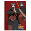 Brochurao-C.D.-80-Fls-Animativa---Naruto-2