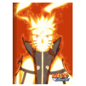 Brochurao-C.D.-80-Fls-Animativa---Naruto-3