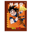 Brochurao-C.D.-80-Fls-Animativa---Dragon-Ball-1