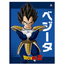 Brochurao-C.D.-80-Fls-Animativa---Dragon-Ball-4