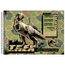 Cartografia-C.D.-60-Fls-Animativa---Jurassic-Park-5