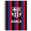 Caderno-Universitario-10x1-160-Fls-C.D.-Animativa---Barcelona-3