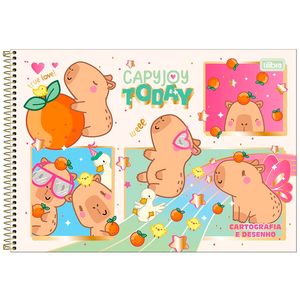 Cartografia-C.D.-80-Fls.-Tilibra---Capyclub-3 Cartografia-C.D.-80-Fls.-Tilibra---Capyclub-3