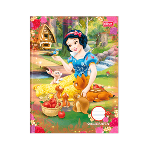 Caderno-Pedagogico-C.D.-Brochura-Caligrafia-Tilibra---Princesas-5