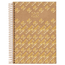 Caderno-Universitario-1x1-80-Fls-C.D.-Jandaia---Kraft-Gold-9