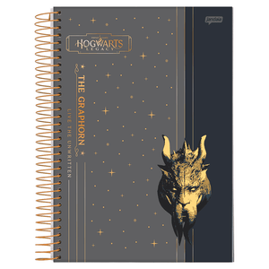 Caderno-Universitario-1x1-80-Fls-C.D.-Jandaia---Hogwarts-Legacy-1
