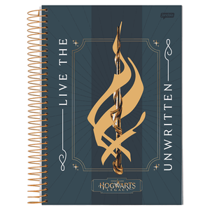 Caderno-Universitario-1x1-80-Fls-C.D.-Jandaia---Hogwarts-Legacy-3
