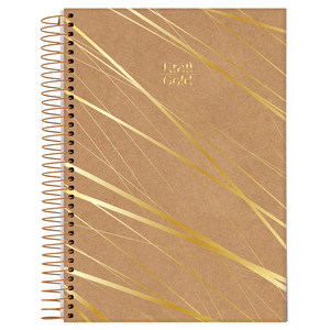 Caderno-Universitario-10x1-160-Fls-C.D.-Jandaia---Kraft-Gold-11