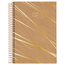 Caderno-Universitario-10x1-160-Fls-C.D.-Jandaia---Kraft-Gold-11