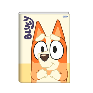 Brochura-14-C.D.-80-Fls-Jandaia---Bluey-6