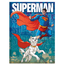 Brochurao-C.D.-80-Fls-Animativa---Superman-1